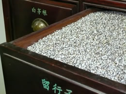 Chinesische Heilkräuter
